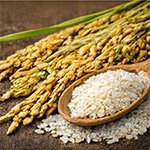 rice